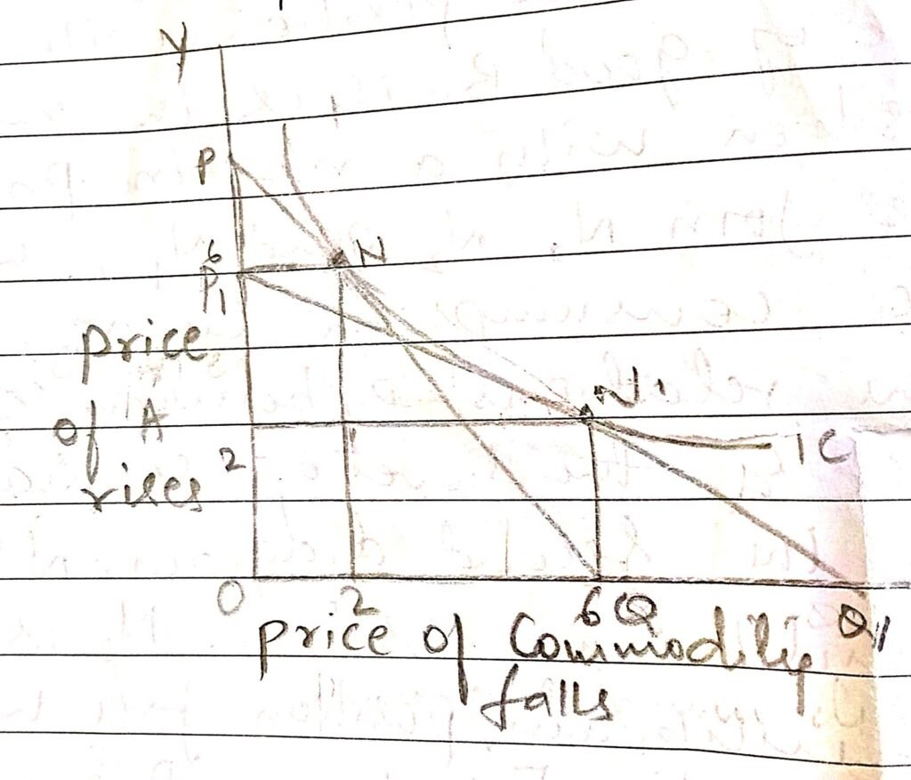 SUBSTITUTION EFFECT